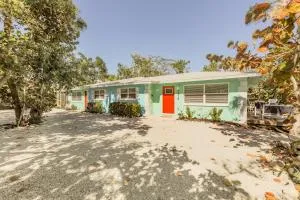 Turtle Tracks East - Ybel