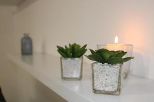 PDL Central Apartments - One