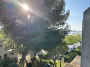 Appartements Appartement T2 avec loggia et internet a deux pas de l'etang de Thau a Balaruc-les-Bains - FR-1-553-217 : Appartement