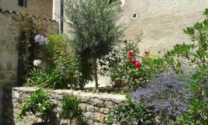 Appartements Le Jardin du Village - Valbonne : photos des chambres