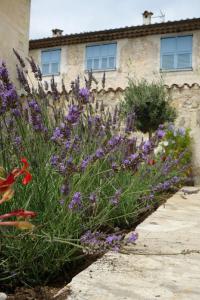 Appartements Le Jardin du Village - Valbonne : Appartement avec Jardin