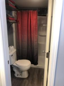 Hockey Themed Room with Wooded Trails