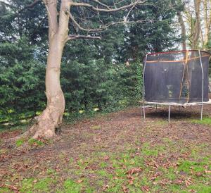 17th-Century1Bed Studio PetsOk Garden Wifi