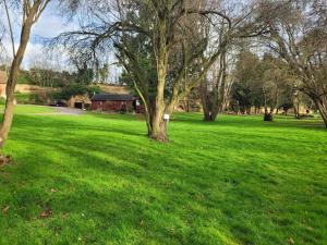 17th-Century1Bed Studio PetsOk Garden Wifi