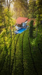 Tealawn Pool Villa, Munnar