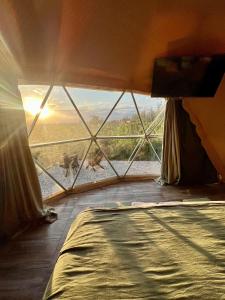 Entre racimos, glamping entre viñedos en bodega