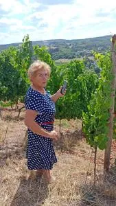 St Maximin Erdgeschoß Lounge - Olewig