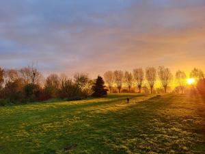 B&B Herberg Boerenhol DE MOTE BVBA