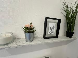 Le studio Doré de Rouen -290