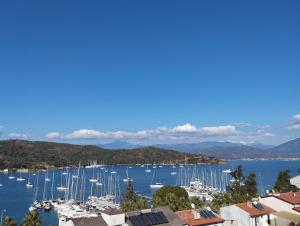 Duygu Apart spellbinding sea views