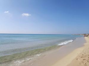 RESIDENCE BLANCO SEA 1 A 100 MT DALLA SPIAGGIA di POSTO VECCHIO PESCOLUSE