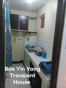 BDS Yin Yang Transient House