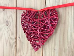 Lodges LOVE AND BULLES : photos des chambres