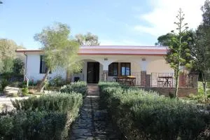 GardenRocks - 弗卢米尼马焦雷