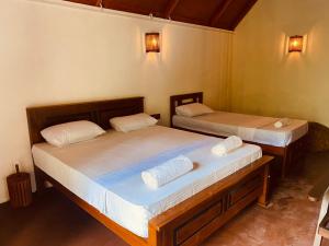 The Rainforest Hideaway