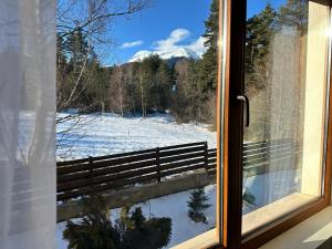 Pine Tree - charming apartment