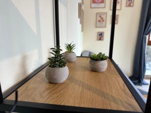 Pine Tree - charming apartment