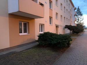 Přízemí v parku. (Apartment no.8)