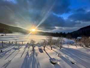 Apartmány U Studánky