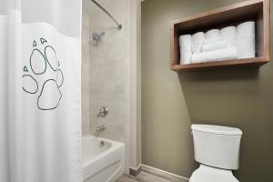 Deluxe Queen Suite room in Great Wolf Lodge New England