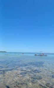 Re cantodaprosa Suíte