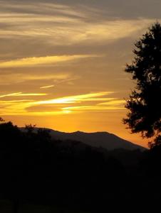 Appartements Appartement 3 etoiles, 2 chambres , cuisine amenagee, terrasse, face a la chaine des Pyrenees : photos des chambres