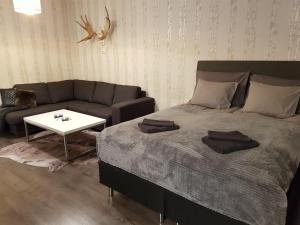 Vartiomaja - beautiful apartment near Arktikum