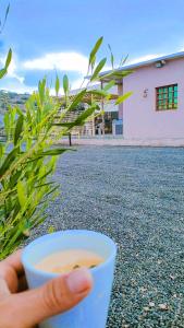 Jabel shams stars house