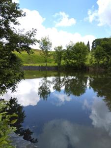 Appartements Appartement 3 etoiles, 2 chambres , cuisine amenagee, terrasse, face a la chaine des Pyrenees : photos des chambres