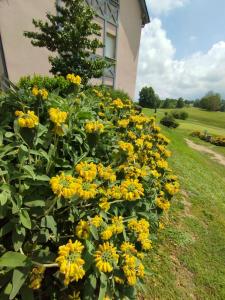 Appartements Appartement 3 etoiles, 2 chambres , cuisine amenagee, terrasse, face a la chaine des Pyrenees : photos des chambres