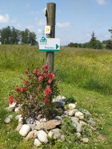 Appartements Appartement 3 etoiles, 2 chambres , cuisine amenagee, terrasse, face a la chaine des Pyrenees : photos des chambres