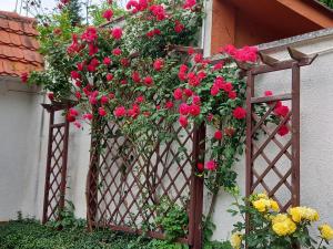 Apartament 2-pokojowy 55 m2, koło ZOO, Hali Stulecia