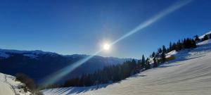 Ferienwohnung Birkenheim