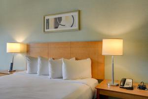 Princess II Suite PlatinumBalcony Strip Views