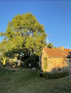 Maisons de vacances A l'Oree des Vignes : photos des chambres