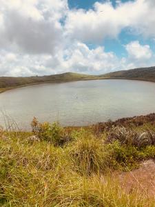 Apartamento Top House