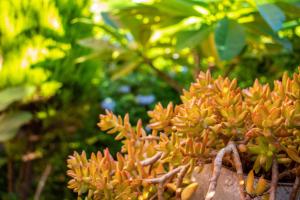 Studio Casa Di Christina