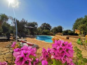 Il trullo di Mya. Trullo con piscina privata