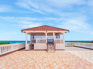 Scarlett near Kingston Airport