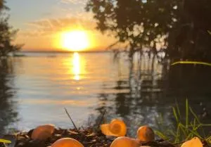Azul Corazón - Calpulli