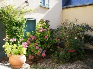 Maison de charme avec jardin à Montmirail - Rénovation 18e siècle, proche église, 2h de Paris - FR-1-410-211