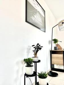 T2 République Parking inclus