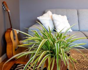 Appartements Epinal, Centre / Gare : photos des chambres
