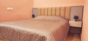 Friends - Your Cosy Apartment in the Center