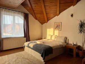 Ambra Rooms