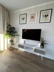 Charmante Penthouse - Therme Badewelt - Museum in Sinsheim Hoffenheim