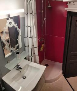 Appartements Le Nid Douillet Baroque Linge fourni : photos des chambres