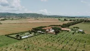 Terra di Cortona - Borghetto