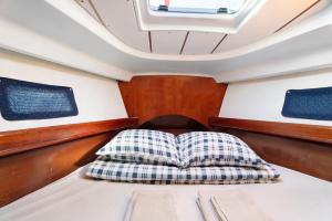 Pato Lucas Sail Boat