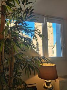 Appartements Le Pigeonnier : photos des chambres